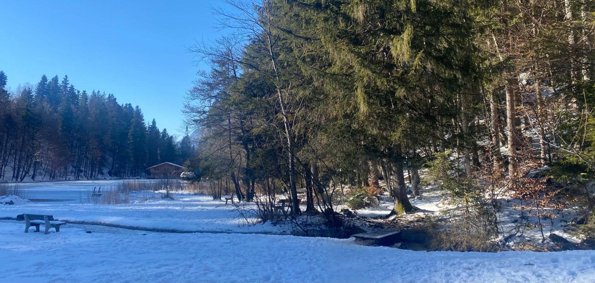 Haus Hislop Daire Inneralpbach Dış mekan fotoğraf